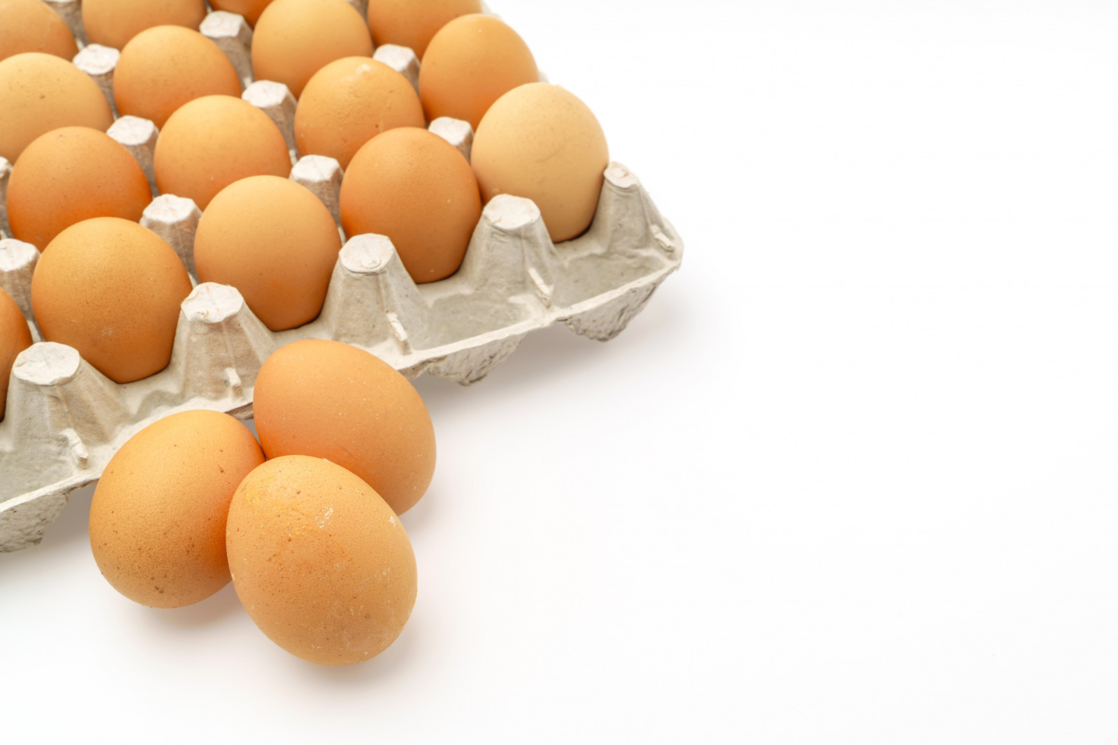 SEBI_eggs